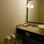 Nice modern bathroom/shower at the Hotel Indigo San Jose