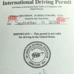 a close up of a driving permit