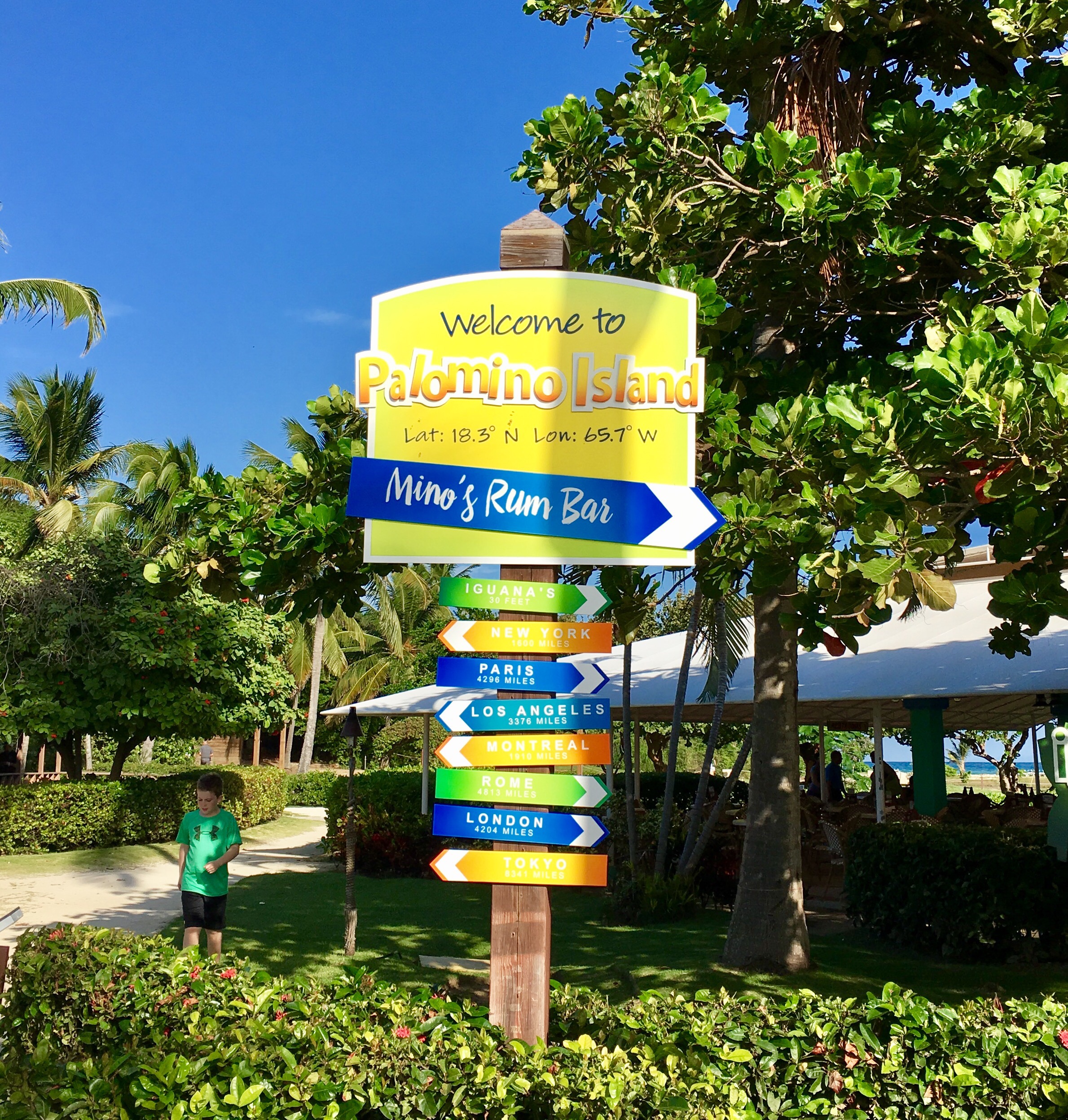 a sign with many different colored signs