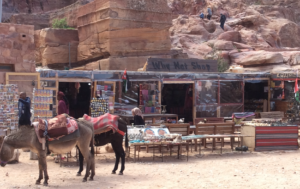 donkeys outside a store with a group of people walking down the hill