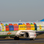 a plane with a painted body