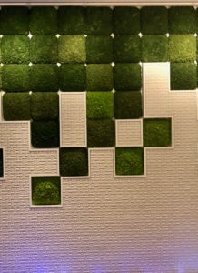 a wall with plants in it
